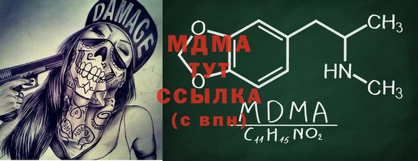 гидра Елабуга