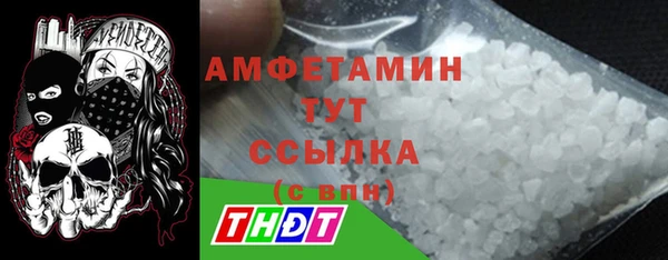 шишки Заволжье