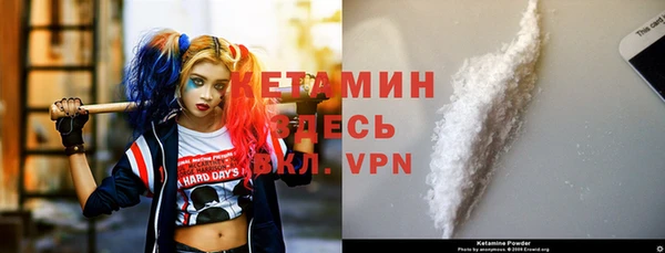 гидра Елабуга