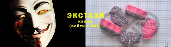 дмт Тайга