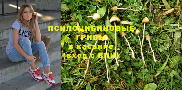mdma Заволжск