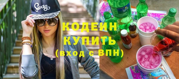 шишки Заволжье