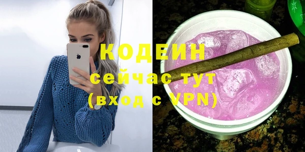 шишки Заволжье