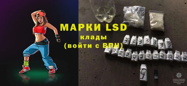 шишки Заволжье